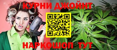 сатива Заволжье