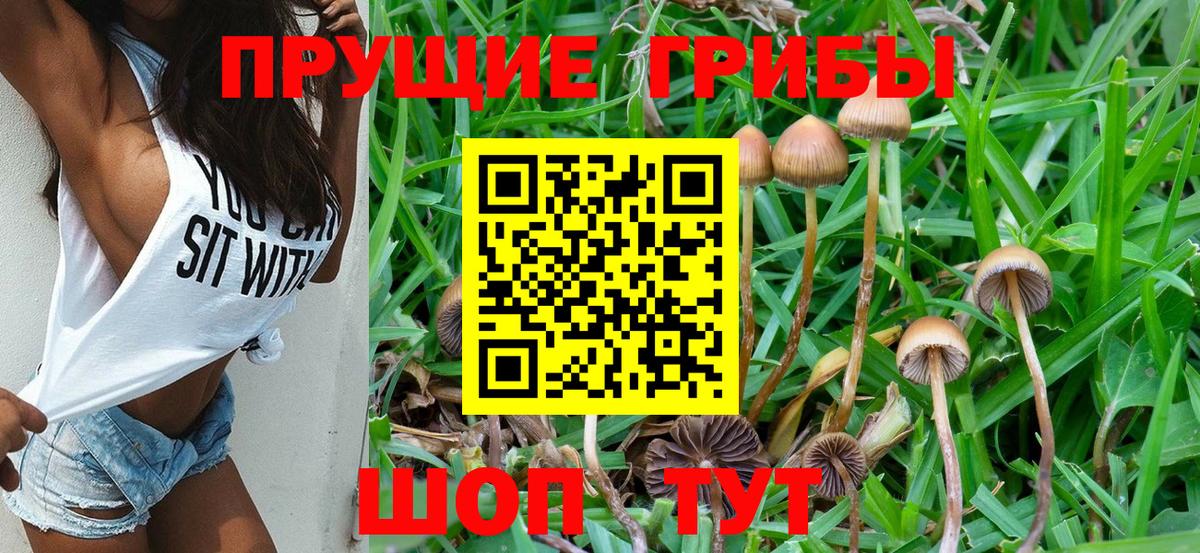 Магнитогорск  цены   Вход с VPN  Галлюциногенные грибы Cubensis 